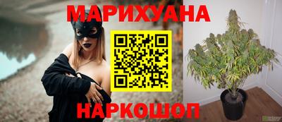 тгк Славянск-на-Кубани
