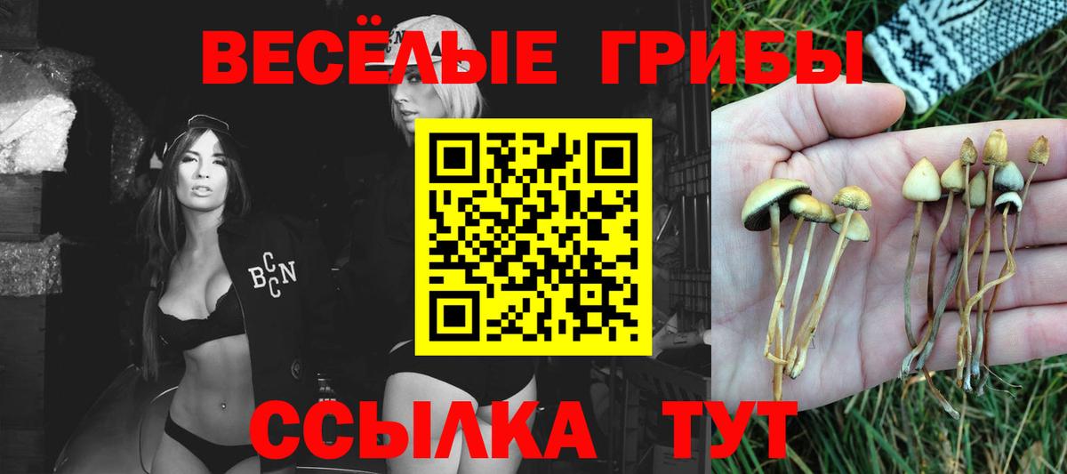 Псилоцибиновые грибы прущие грибы  Псилоцибиновые грибы мухоморы  Назрань  купить наркотик  Вход с VPN 