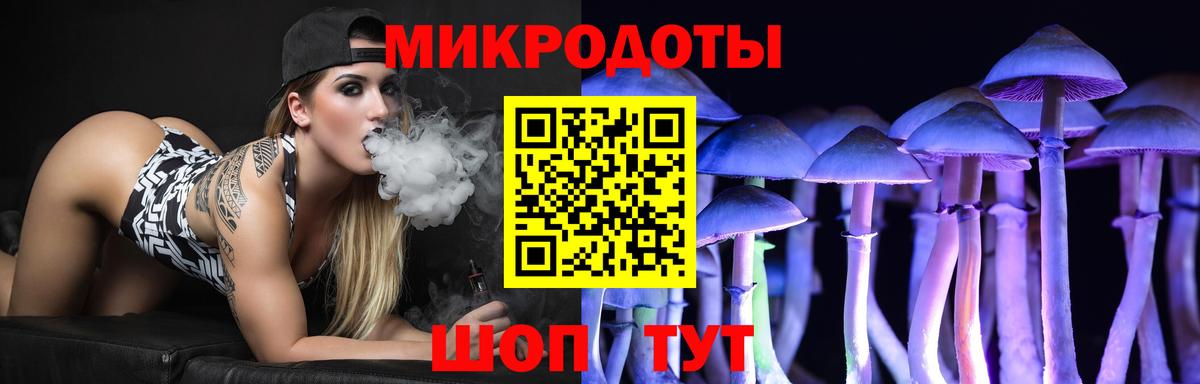 Галлюциногенные грибы Psilocybe Назрань